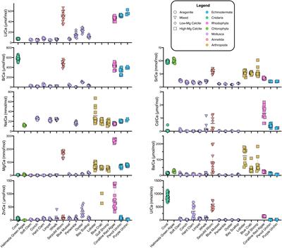 Patterns of Element Incorporation in Calcium Carbonate Biominerals Recapitulate Phylogeny for a Diverse Range of Marine Calcifiers